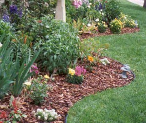 Boston landscaping needs you to plant well.