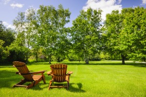 Lush green lawn with trees