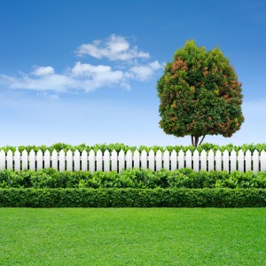 white fence and green hedge